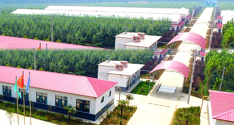 濟寧鑫欣超聲電子設備有限公司