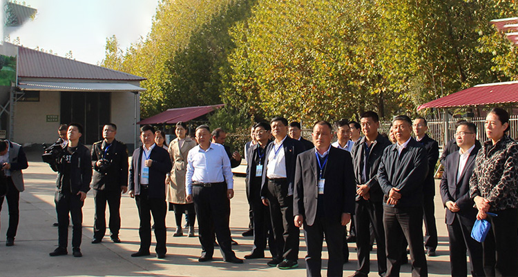 濟寧鑫欣超聲電子設備有限公司